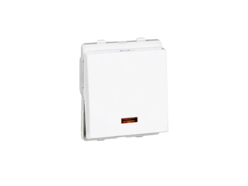 20/25 Amp Switch
