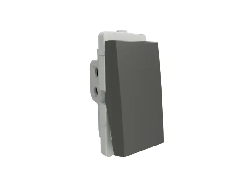Schneider Electric Livia Switches