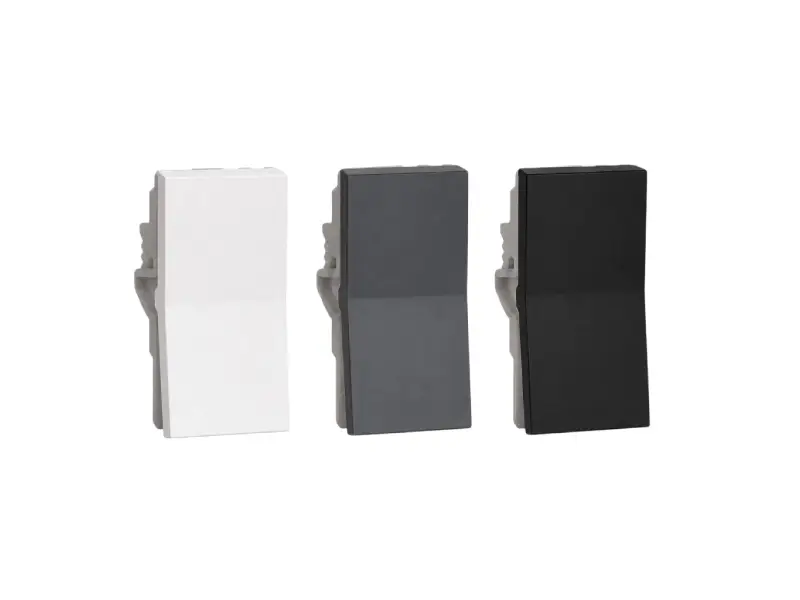 Schneider Electric Switch